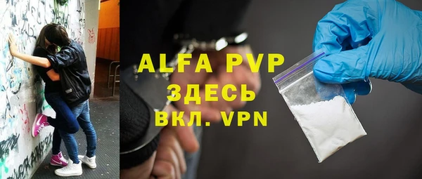 прущие грибы Абинск