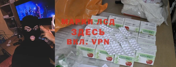 прущие грибы Абинск