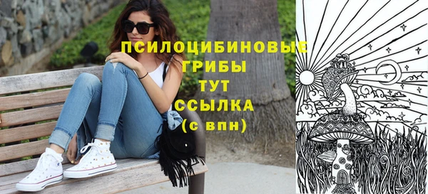 прущие грибы Абинск