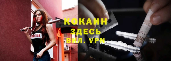 прущие грибы Абинск