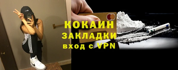 прущие грибы Абинск
