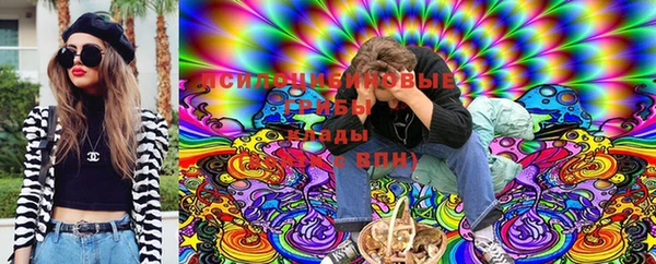 apvp Алзамай