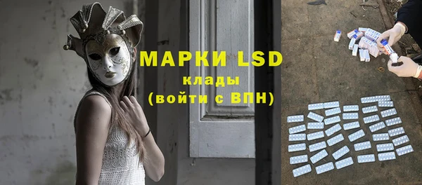 прущие грибы Абинск