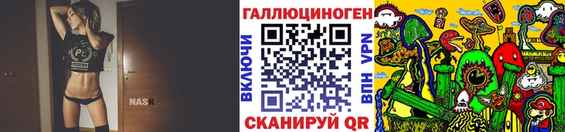закладка  Касли  Псилоцибиновые грибы Psilocybine cubensis 